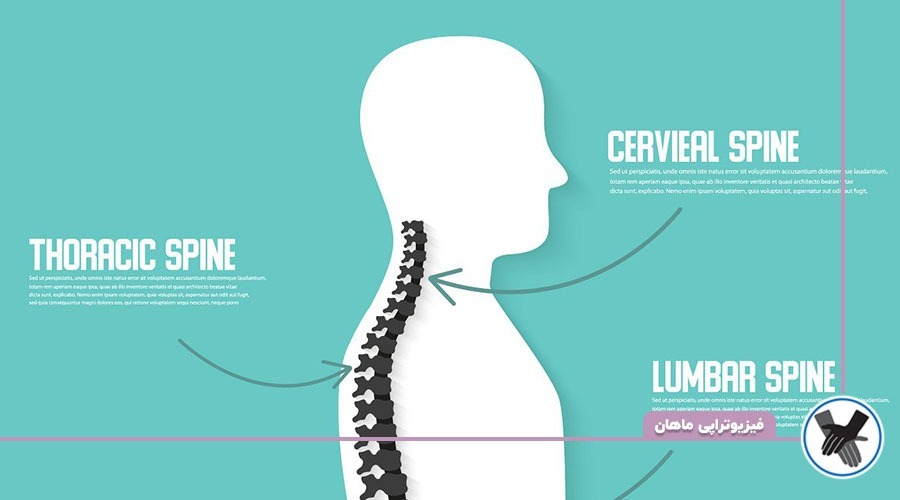 علائم دیسک کمر به تفکیک مهره‌های ستون فقرات