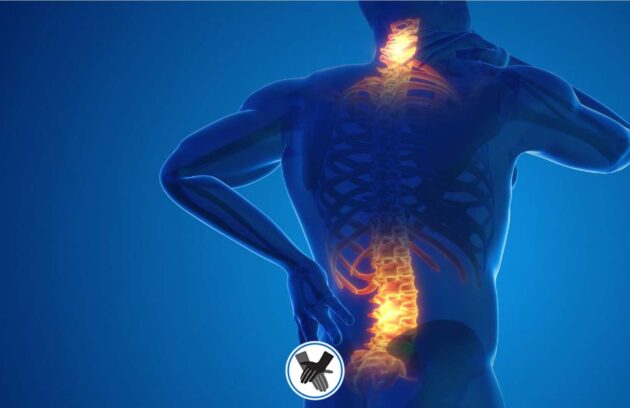 معرفی انواع دیسک کمر + علائم آن